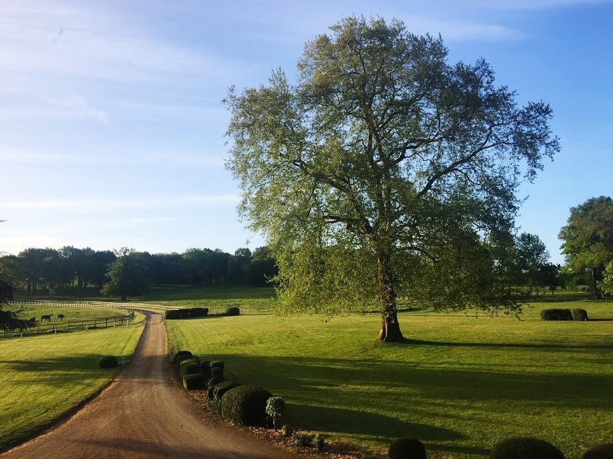 Hotel Haras De La Potardiere Crosmieres Экстерьер фото