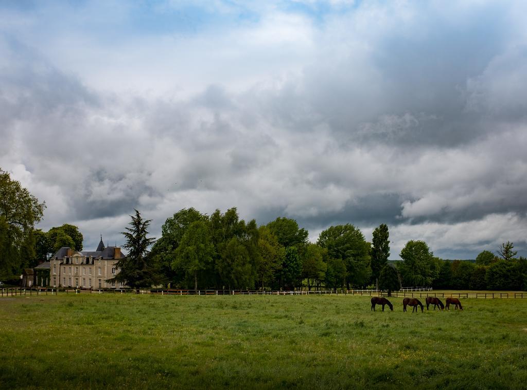 Hotel Haras De La Potardiere Crosmieres Экстерьер фото