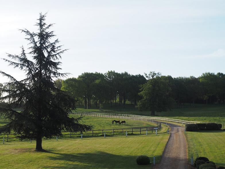 Hotel Haras De La Potardiere Crosmieres Экстерьер фото